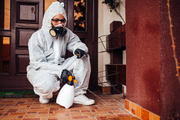 Reliable Ant Control contractor in Lake of the Woods, VA by Show Me Pest Control